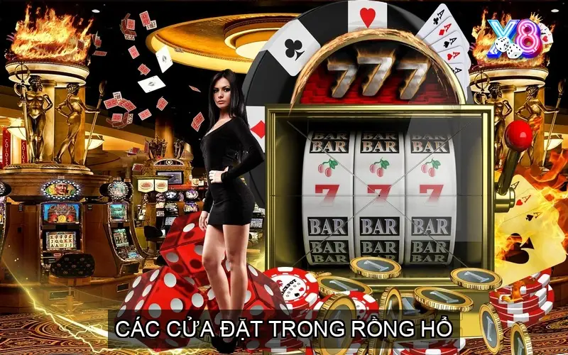 Các Cửa Đặt Trong Rồng Hổ